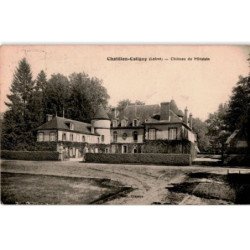 CHATILLON-COLIGNY: château de mivoisin - très bon état