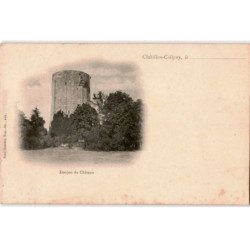 CHATILLON-COLIGNY: donjon du château - très bon état