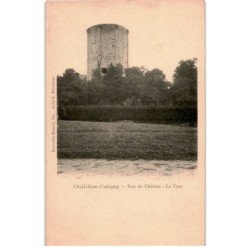 CHATILLON-COLIGNY: parc du château, la tour - très bon état