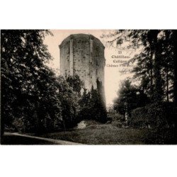 CHATILLON-COLIGNY: château le donjon - très bon état