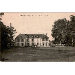 CHATILLON-COLIGNY: château de puiseaux - très bon état