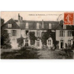 CHATILLON-COLIGNY: château de puiseaux - très bon état