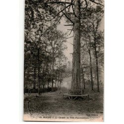 BLIGNY: le chemin du petit fontainebleau - très bon état