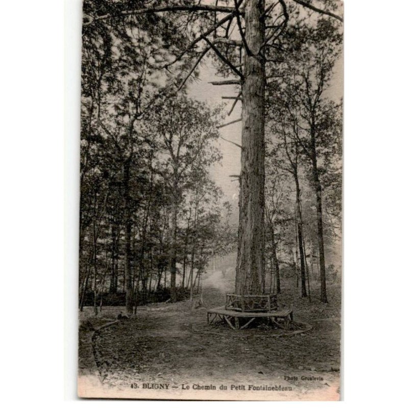 BLIGNY: le chemin du petit fontainebleau - très bon état