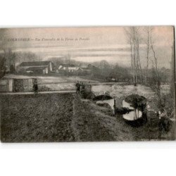 COURTOMER: vue d'ensemble de la ferme de paradis - très bon état