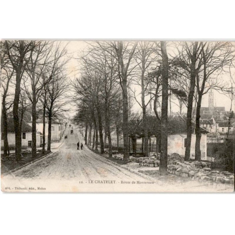 LE CHATELET: route de montereau - état
