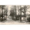 LE CHATELET: route de montereau - état