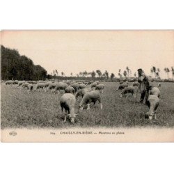 CHAILLY-en-BIERE: moutons en plaine - très bon état