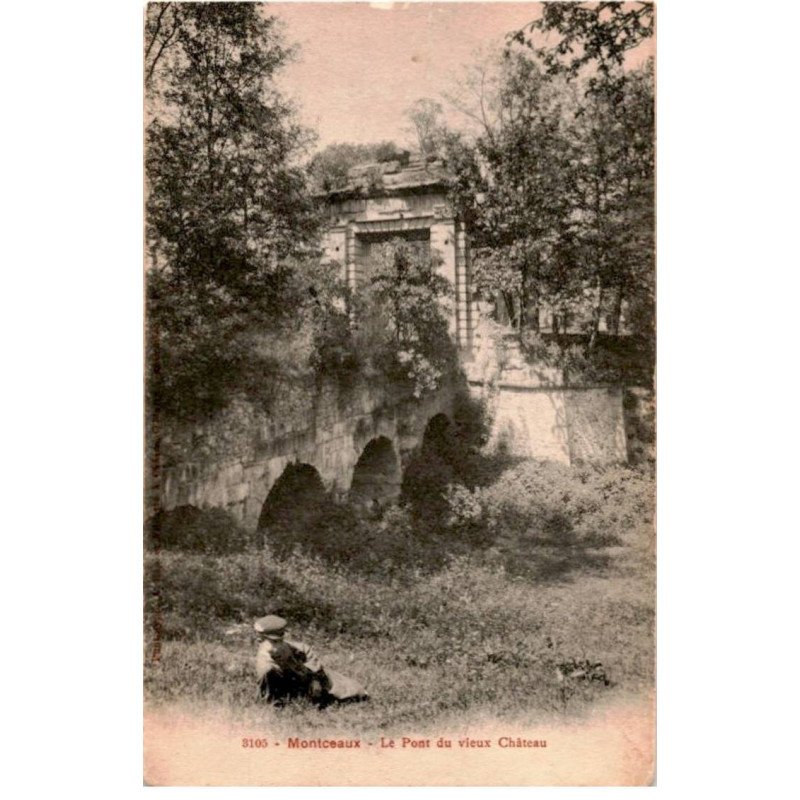 MONTCEAUX: le pont du vieux château - très bon état