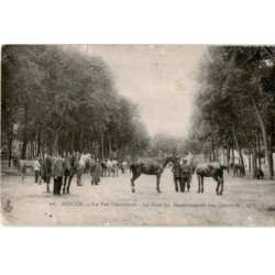 MELUN: le pré chamblain le jour du recensement des chevaux -état