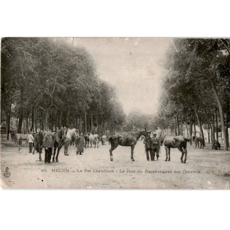 MELUN: le pré chamblain le jour du recensement des chevaux -état