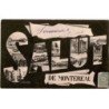 MONTEREAU: salut de montereau, souvenir - très bon état