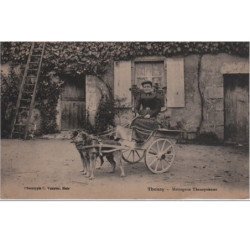 THENAY : voiture à chien de la Messagerie Thenaysienne vers 1920 - très bon état (une légère tache au dos)
