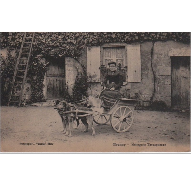 THENAY : voiture à chien de la Messagerie Thenaysienne vers 1920 - très bon état (une légère tache au dos)