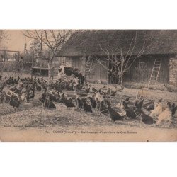 GOSNE : établissement d'aviculture de Gras Buisson vers 1910 - état (un gros pli d'angle)