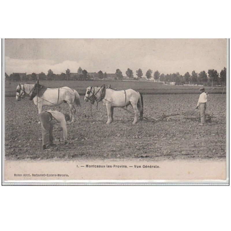 MONTCEAUX LES PROVINS : Vue générale - Très bon état