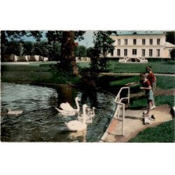 VIRY-CHATILLON: le parc andré-leblanc, les cygnes - très bon état