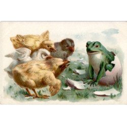 ANIMAUX: grenouille et poussin - très bon état