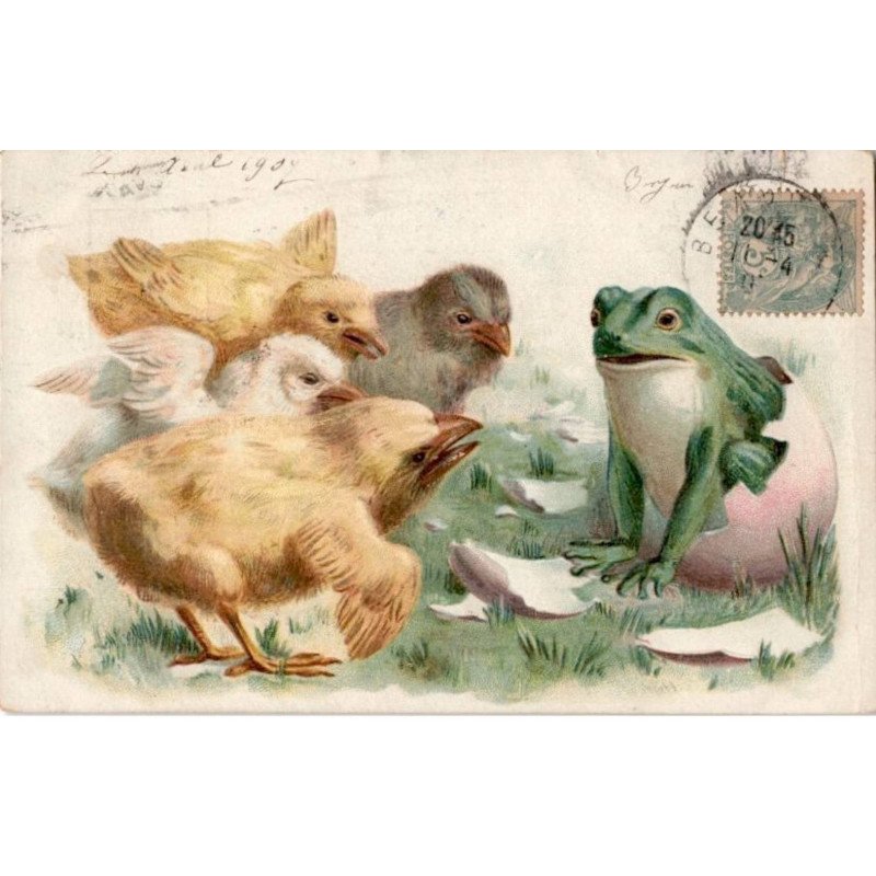 ANIMAUX: grenouilles et poussins - très bon état