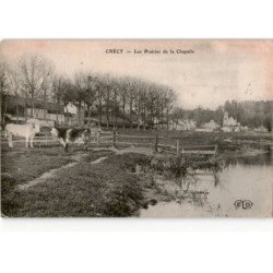 CRECY-en-BRIE: les prairies de la chapelle - état
