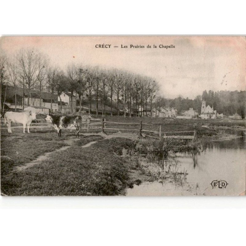 CRECY-en-BRIE: les prairies de la chapelle - état