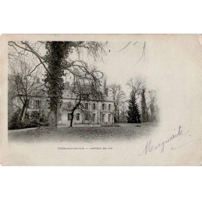 DAMMARIE-les-LYS: château du lys - état