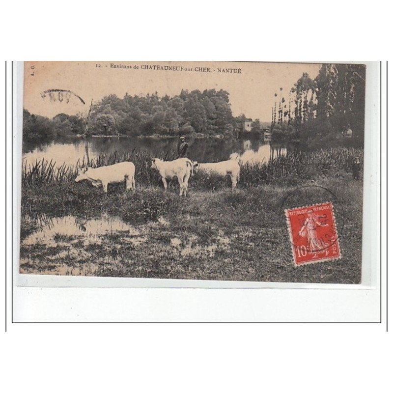 Environs de CHATEAUNEUF SUR CHER - NANTUE - très bon état