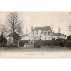 LES ORMES-sur-VOULZIE: le château - très bon état