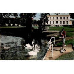 VIRY-CHATILLON: le parc andré-leblanc, le cygnes - très bon état