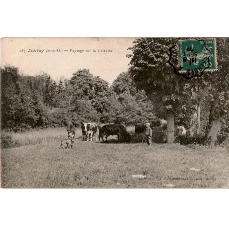 JUVISY: paysage sur la terrasse - très bon état