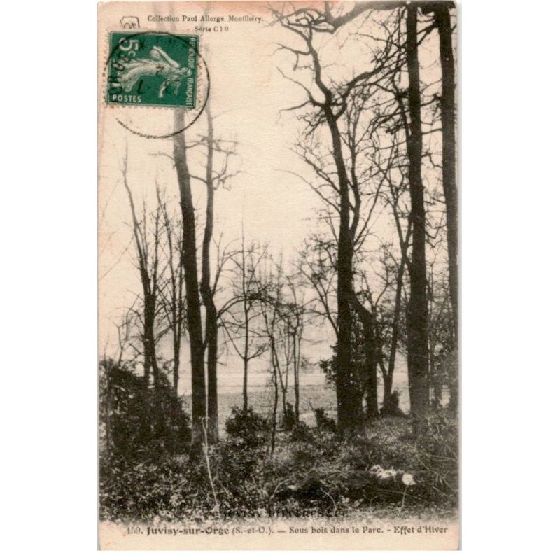 JUVISY: sous bois dans le parc, effet d'hiver - état