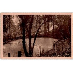 JUVISY-sur-ORGE: un sous-bois dans le parc - très bon état
