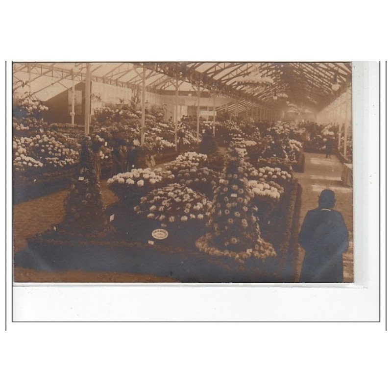 PARIS 1er : carte photo de l'exposition horticole (chrysanthèmes) en 1909 (stand Vilmorin Andrieux) - très bon état