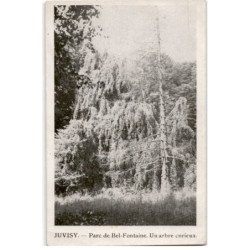 JUVISY-sur-ORGE: parc de bel-fontaine, un arbre curieux - très bon état