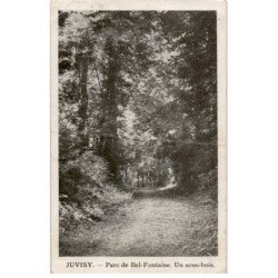 JUVISY-sur-ORGE: parc de bel-fontaine, un sous-bois - état
