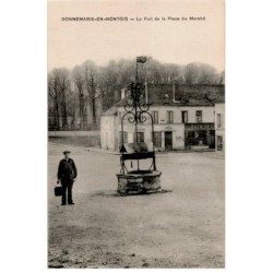DONNEMARIE-en-MONTOIS: le puits de la place du marché - très bon état