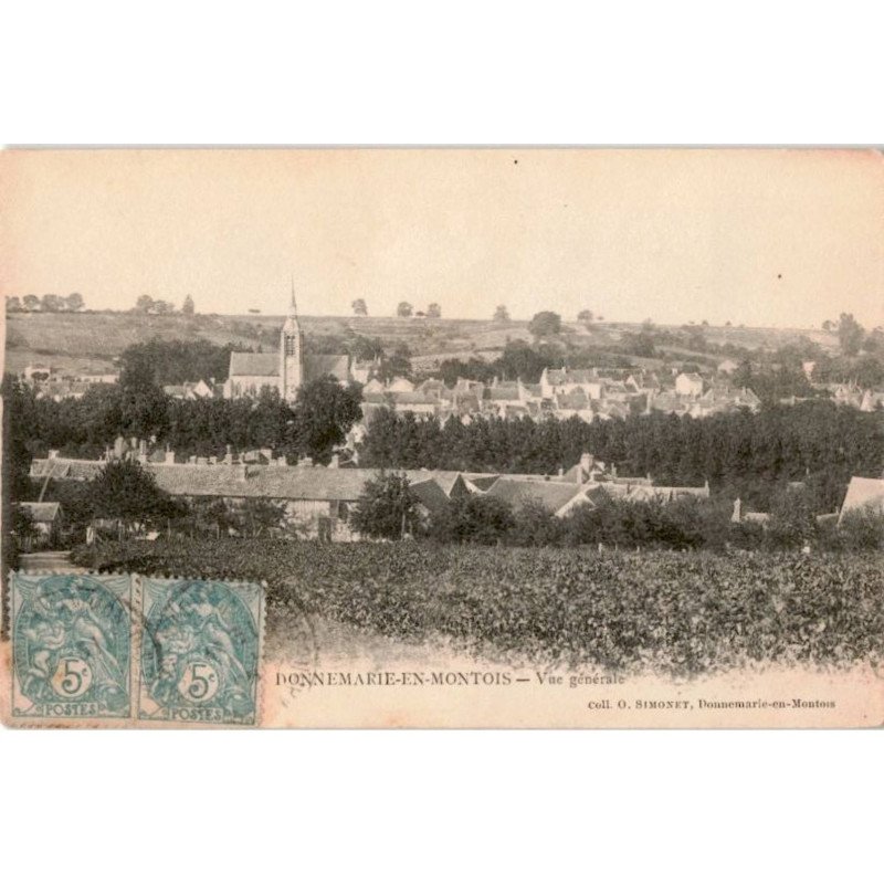 DONNEMARIE-en-MONTOIS: vue générale - très bon état