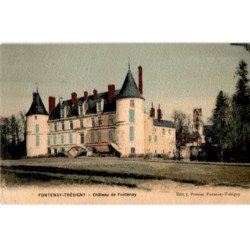 FONTENANY-TRESIGNY: château de fontenay - très bon état