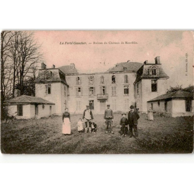 LA FERTE GAUCHER: ruines du château de montblin - très bon état