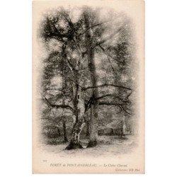 FONTAINEBLEAU: le chêne charmé - très bon état