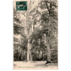 FONTAINEBLEAU: le pharaimond - très bon état