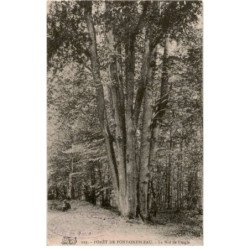 FONTAINEBLEAU: le nid de l'aigle, forêt de fontainebleau - très bon état
