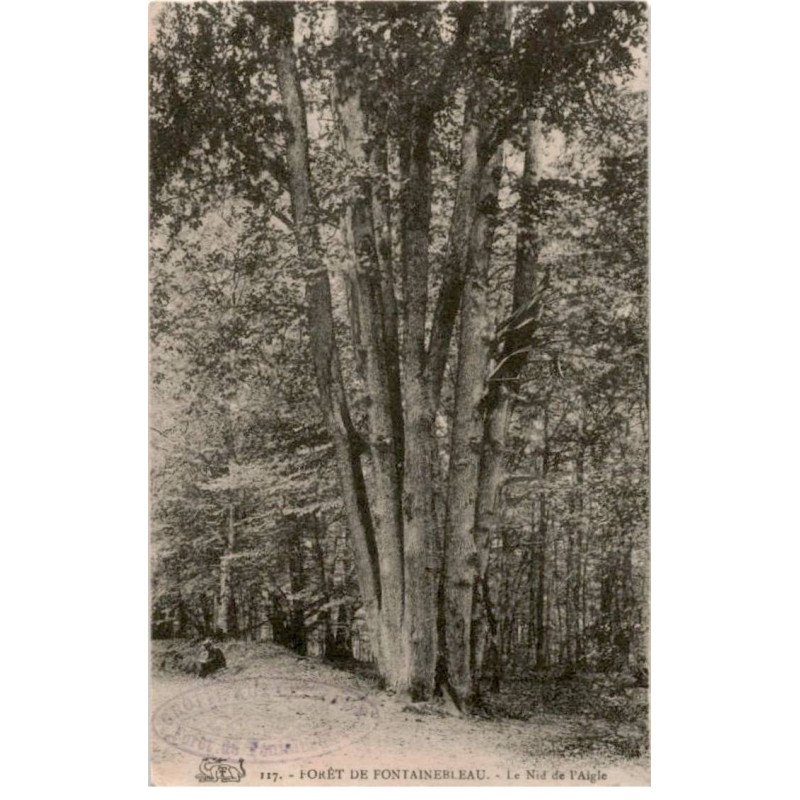 FONTAINEBLEAU: le nid de l'aigle, forêt de fontainebleau - très bon état
