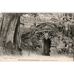 FONTAINEBLEAU: forêt, la fontaine du mont-chauvet - état