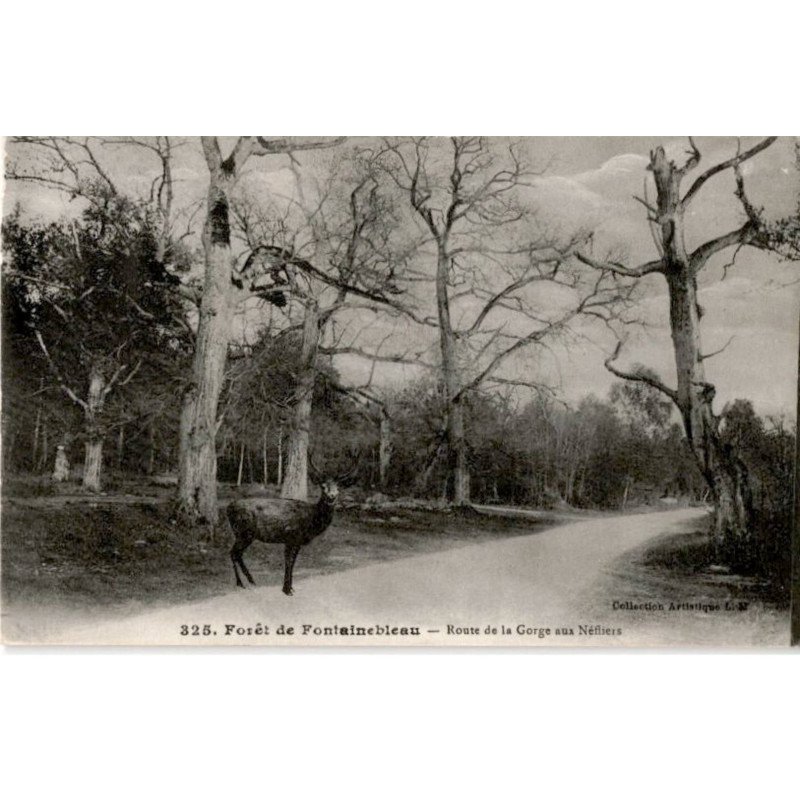 FONTAINEBLEAU: route de la gorge aux néfliers - très bon état