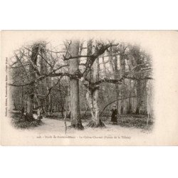 FONTAINEBLEAU: le chêne-charmé futaie de la tillaie - très bon état