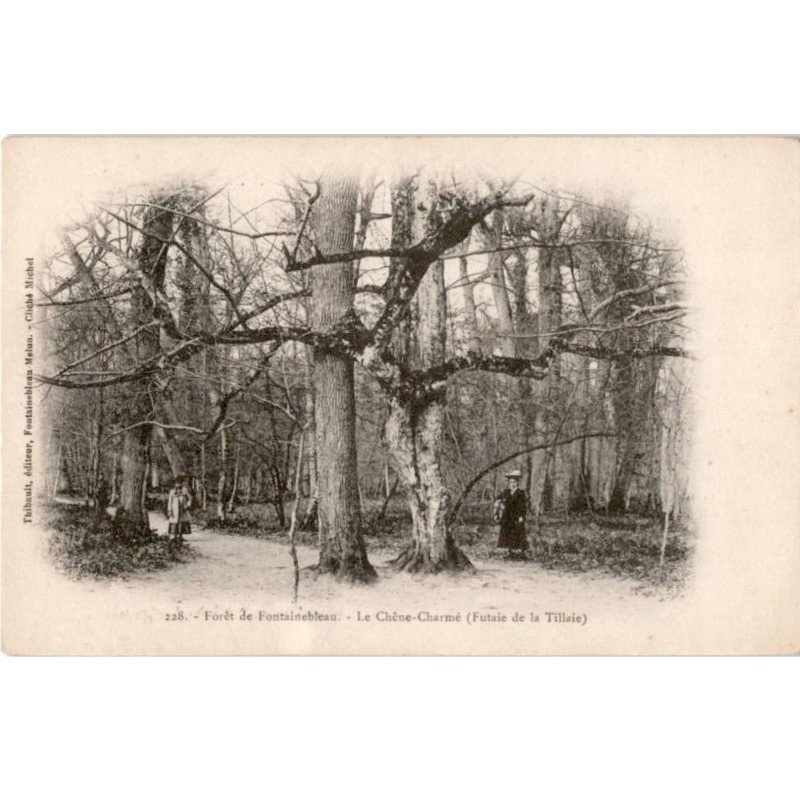 FONTAINEBLEAU: le chêne-charmé futaie de la tillaie - très bon état