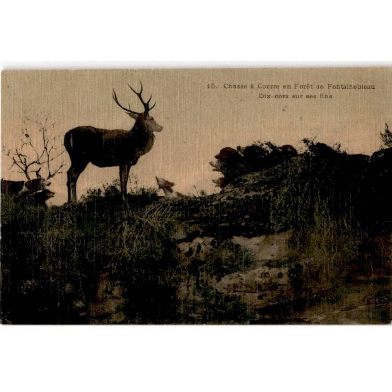FONTAINEBLEAU: chasse à courre en forêt de fontainebleau dix-cors sur ses fins - très bon état