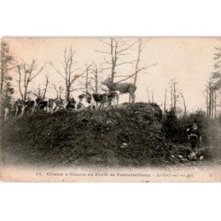 FONTAINEBLEAU: chasse à courre en forêt de fontainebleau le cerf sur ses fins - état