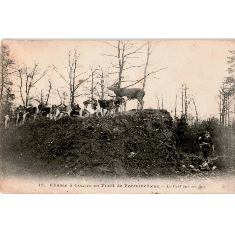 FONTAINEBLEAU: chasse à courre en forêt de fontainebleau le cerf sur ses fins - état